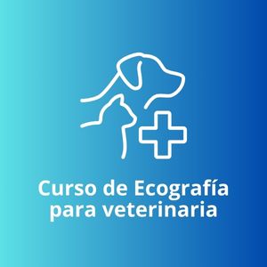 CURSO DE ECOGRAFÍA PARA VETERINARIA APLICADA A ANESTESIA REGIONAL