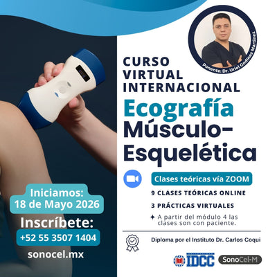 Curso Ecógrafía MSK
